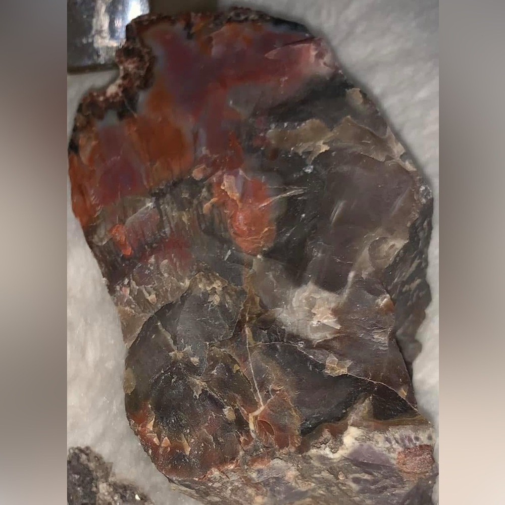 Petrified Wood to be posted